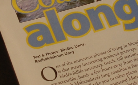 Article Credits