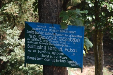 Syntheri Board