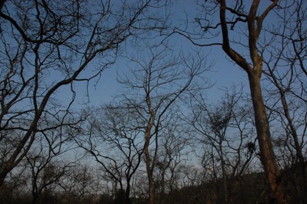dsc_0038 dsc_0038