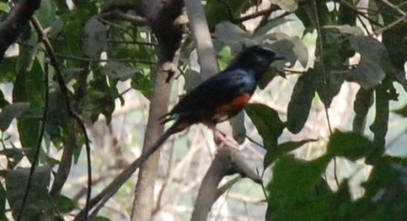 dsc_0050 dsc_0050