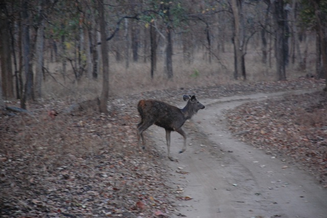 dsc_0205 dsc_0205