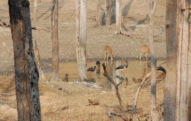 dsc_0306 dsc_0306