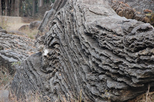 dsc_0410 dsc_0410