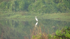 img_2483 img_2483