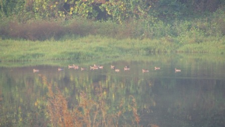 img_2484 img_2484