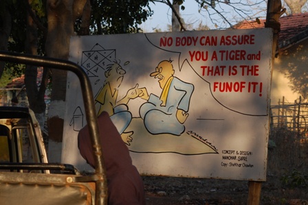 Who Can Assure You a Tiger ?