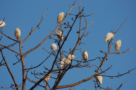 dsc_0053 dsc_0053
