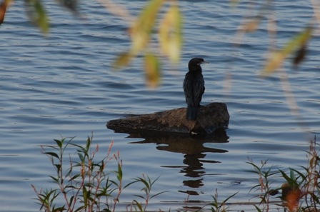 dsc_0081 dsc_0081