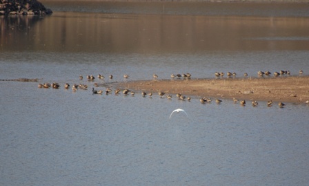 dsc_0108 dsc_0108