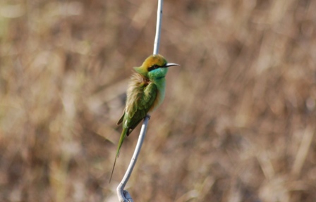 dsc_0112 dsc_0112