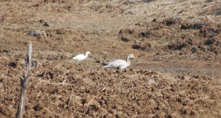 dsc_0152 dsc_0152