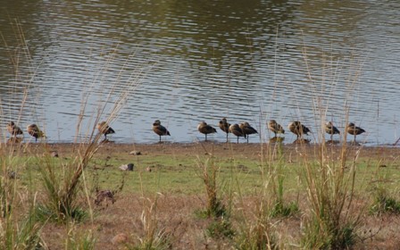 dsc_0170 dsc_0170