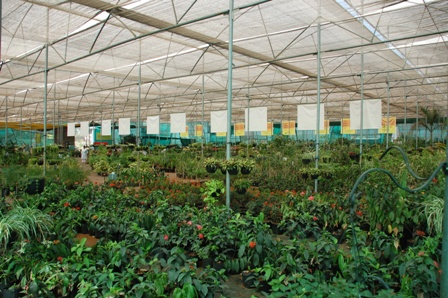 gardens2 gardens2