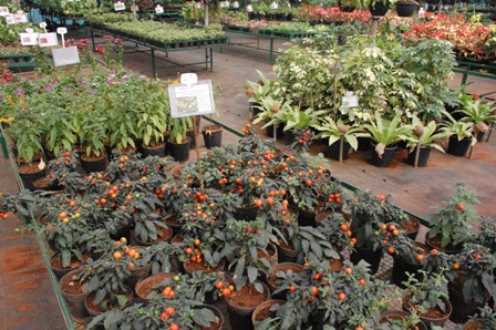 gardens4 gardens4