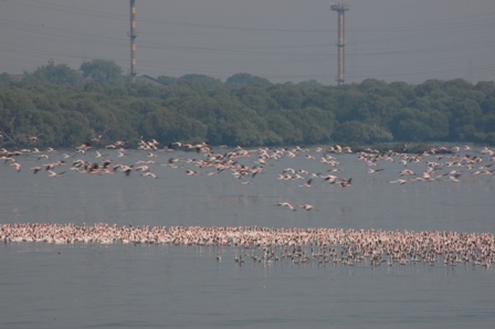 dsc_0091 dsc_0091