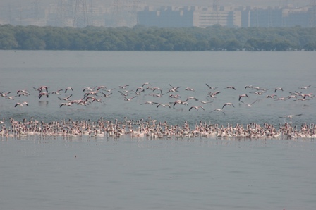 dsc_0178 dsc_0178