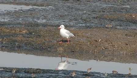 dsc_0247 dsc_0247