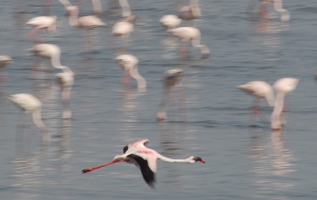 dsc_0264 dsc_0264