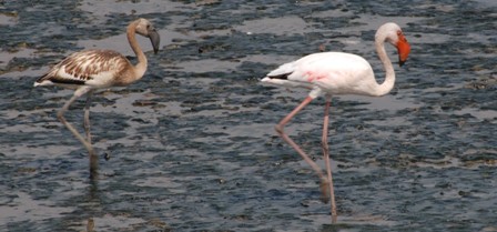 dsc_0318 dsc_0318