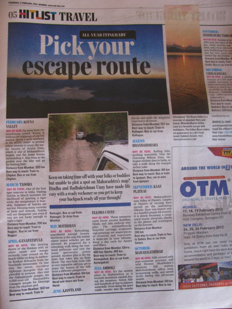 Pick Your Escape Route (Mid-Dday Feb 02, 2012)