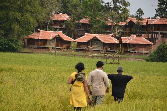Wayanad hikes