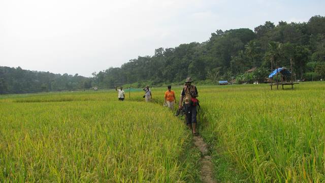 Wayanad Forest Trails